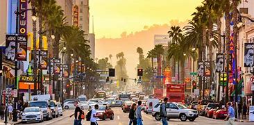 cozygrove召猫盒攻略