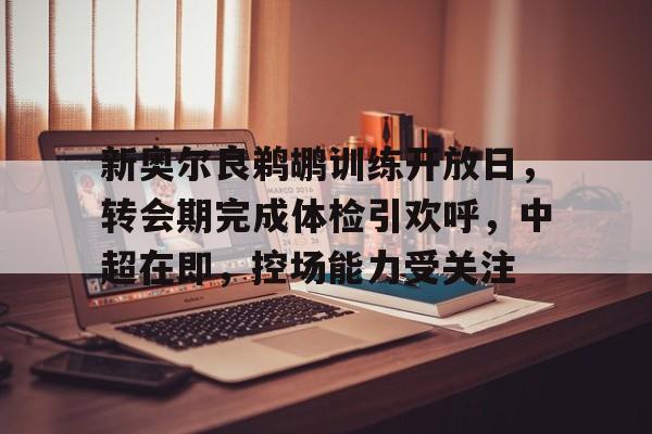 乐鱼体育官方网页版-中超夏季转会期内援